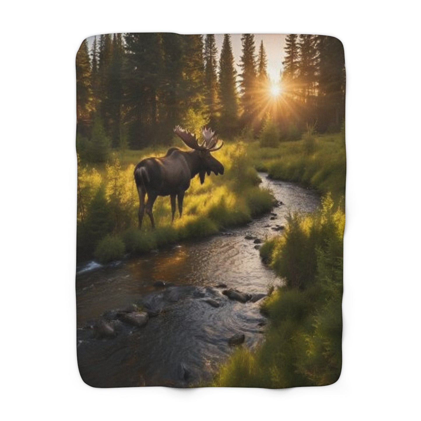 Sherpa Fleece Blanket